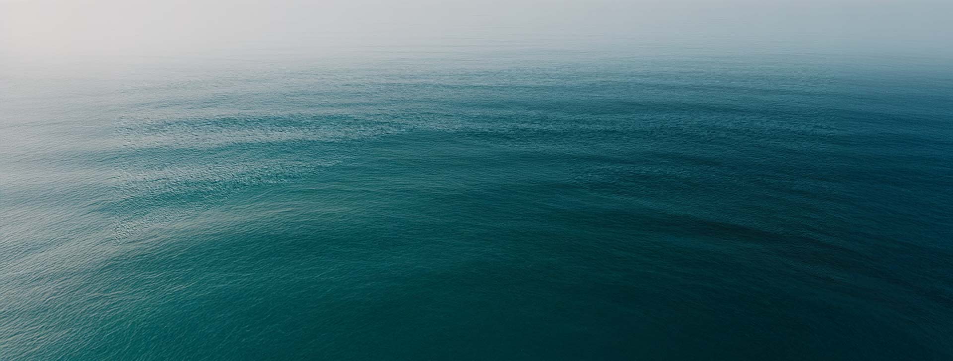 sea2.jpg